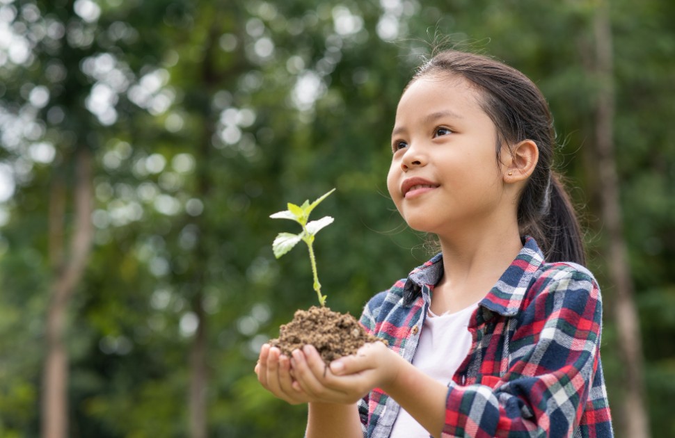 Little girl holding a baby plant