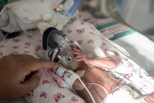 A baby and parent finger holding