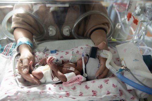 A parent and baby hand hugging