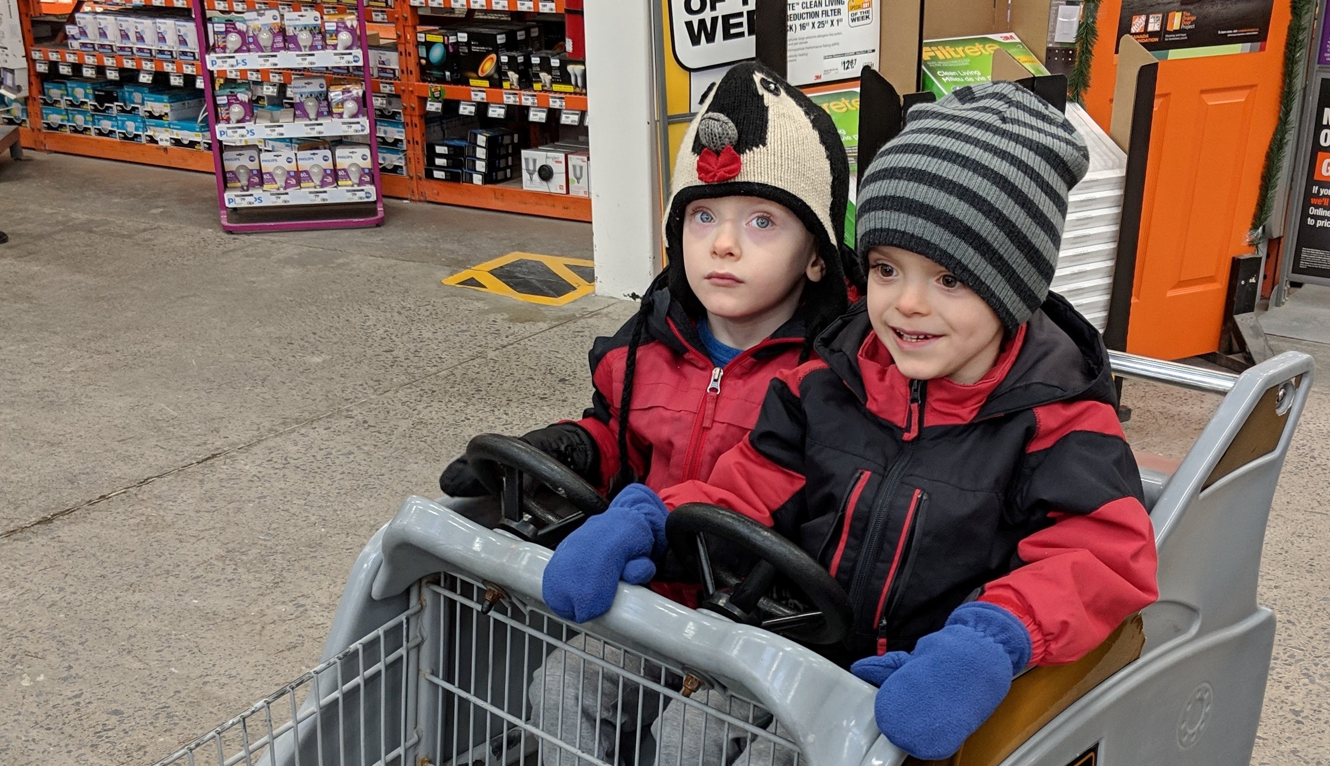 Griffin and James take a ride in the shopping cart while running errands with mom.