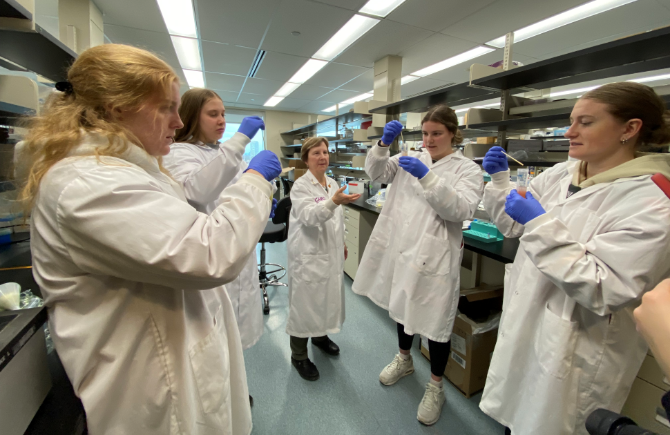 ottawa charge players and cheo researchers