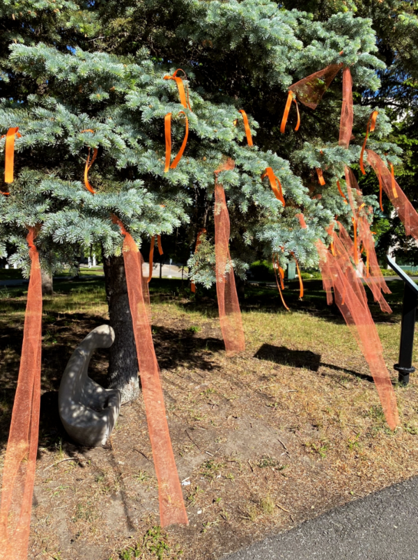 215 orange ribbons placed on trees at CHEO