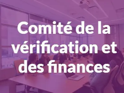 Audit_FR.jpg