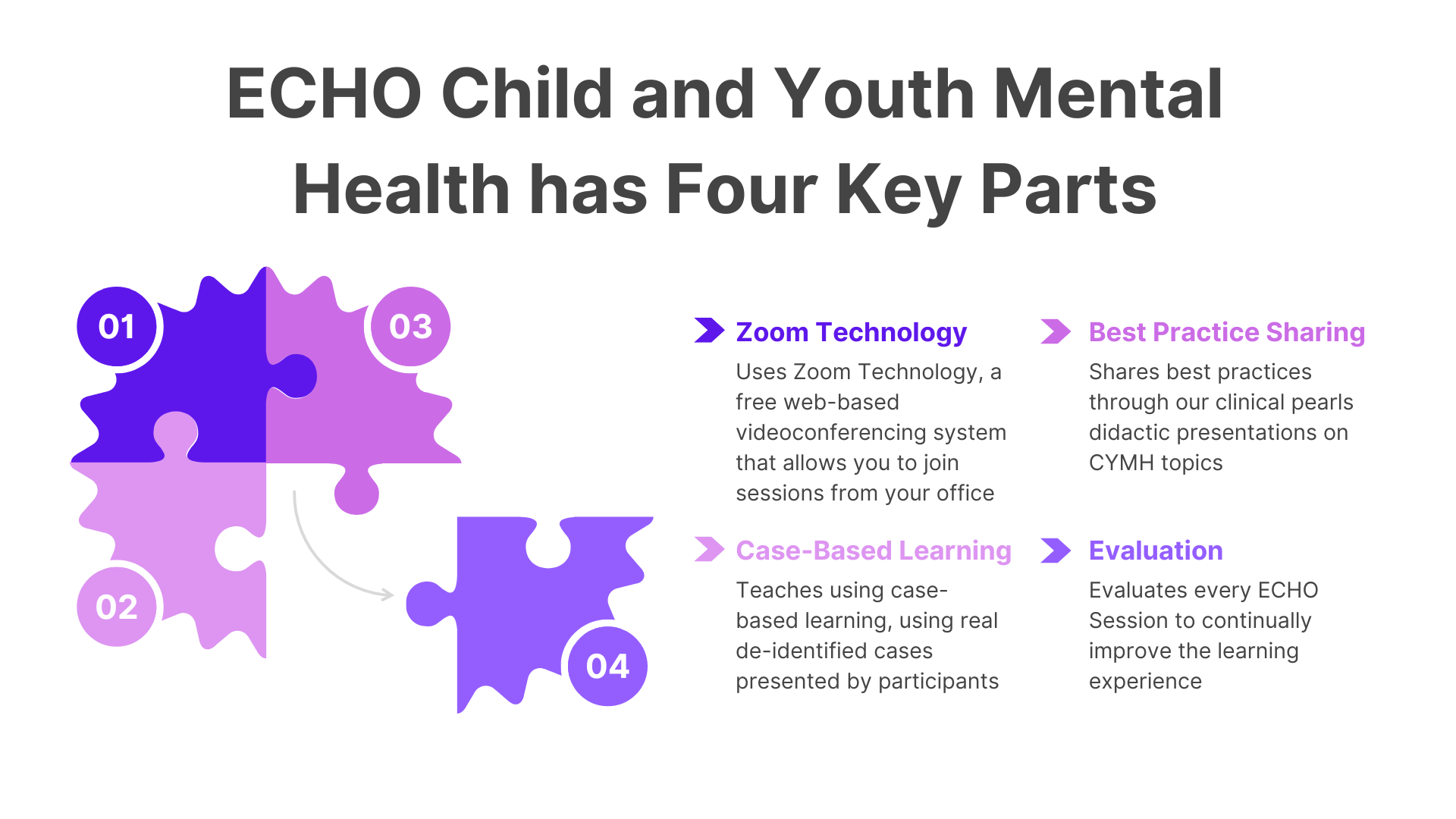 Four Key Parts of ECHO CYMH 4 puzzle pieces